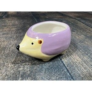 Hedgehog Small Planter, Jar, Caddy, Purple!